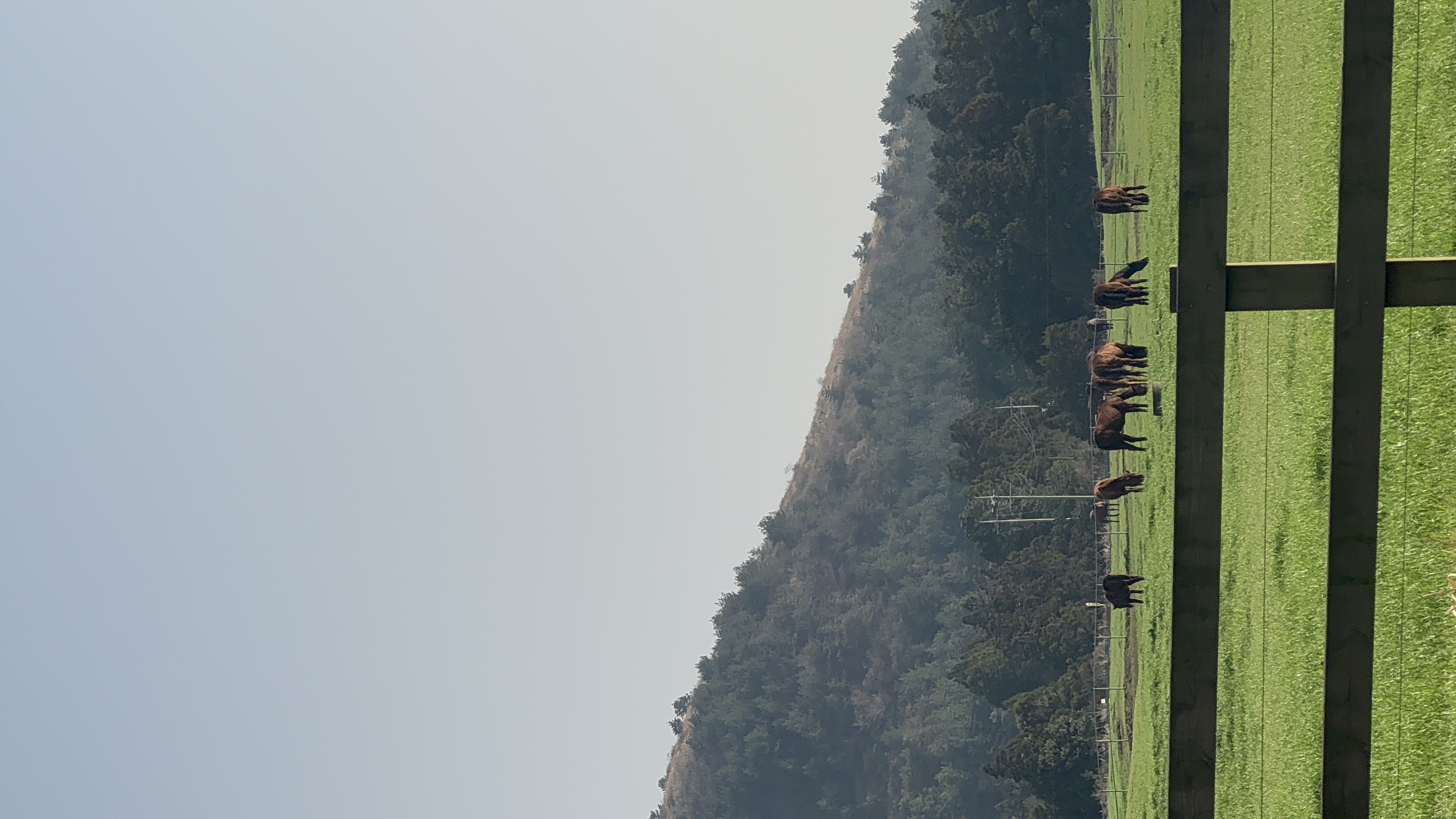 우리동네 KOREA ZZIM 